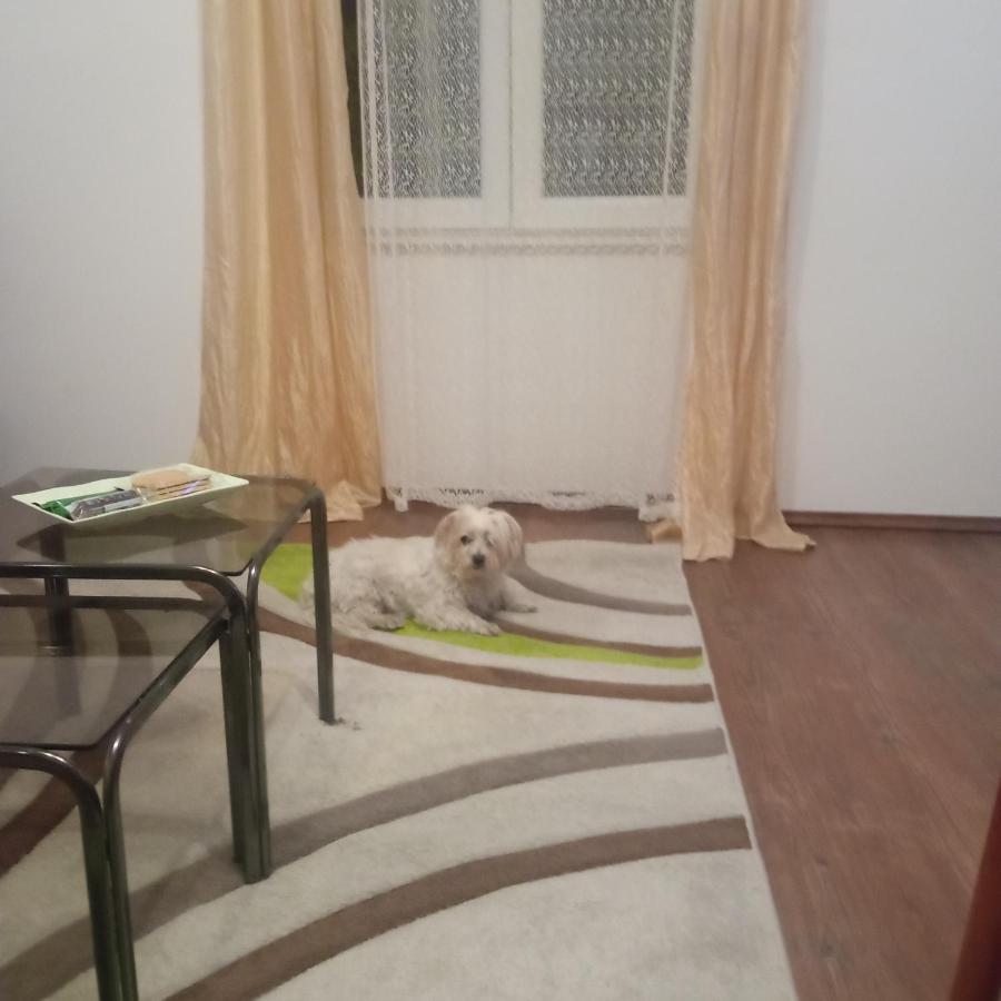Apartment Toby Сплит Екстериор снимка
