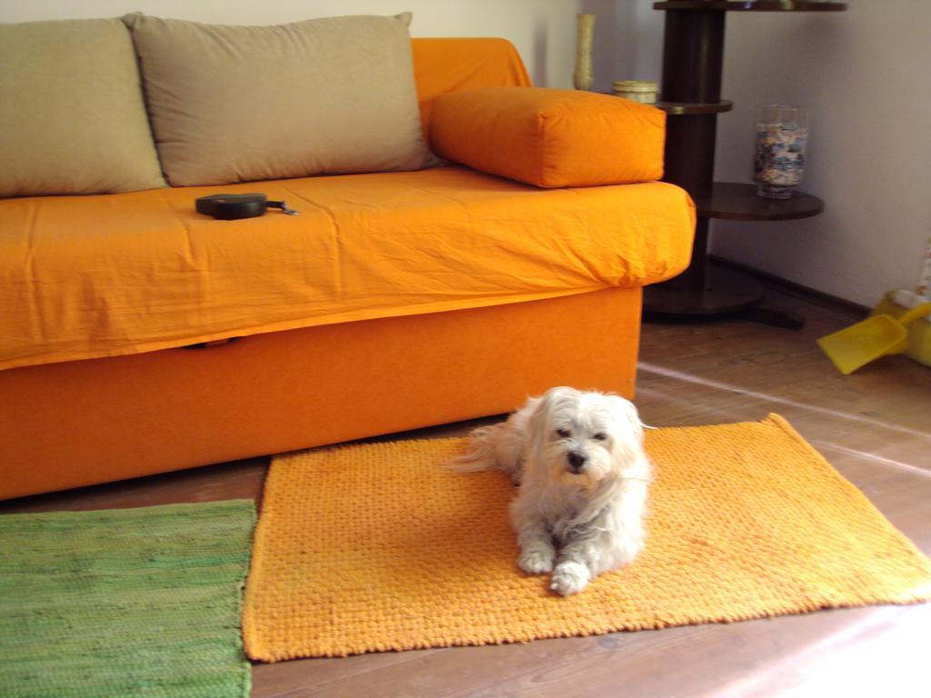 Apartment Toby Сплит Стая снимка